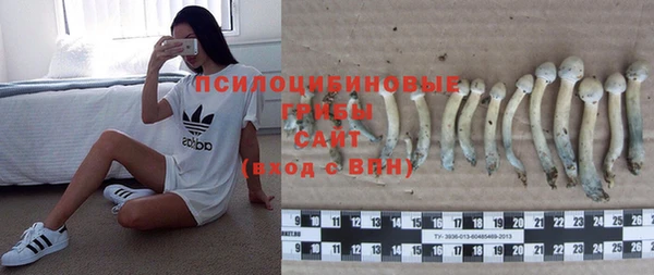 спиды Бугульма