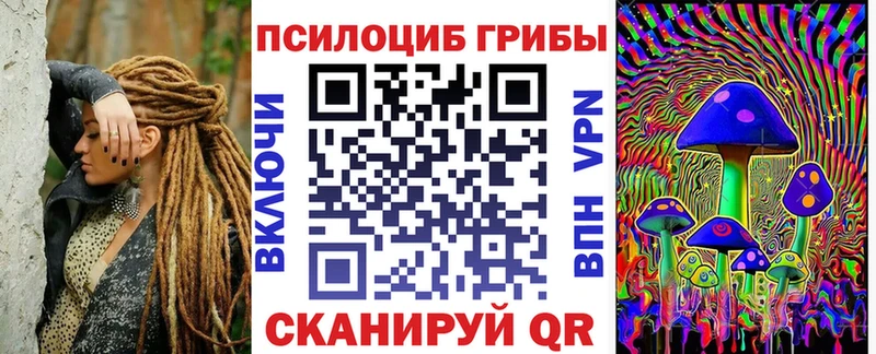 Галлюциногенные грибы мицелий  Нюрба 